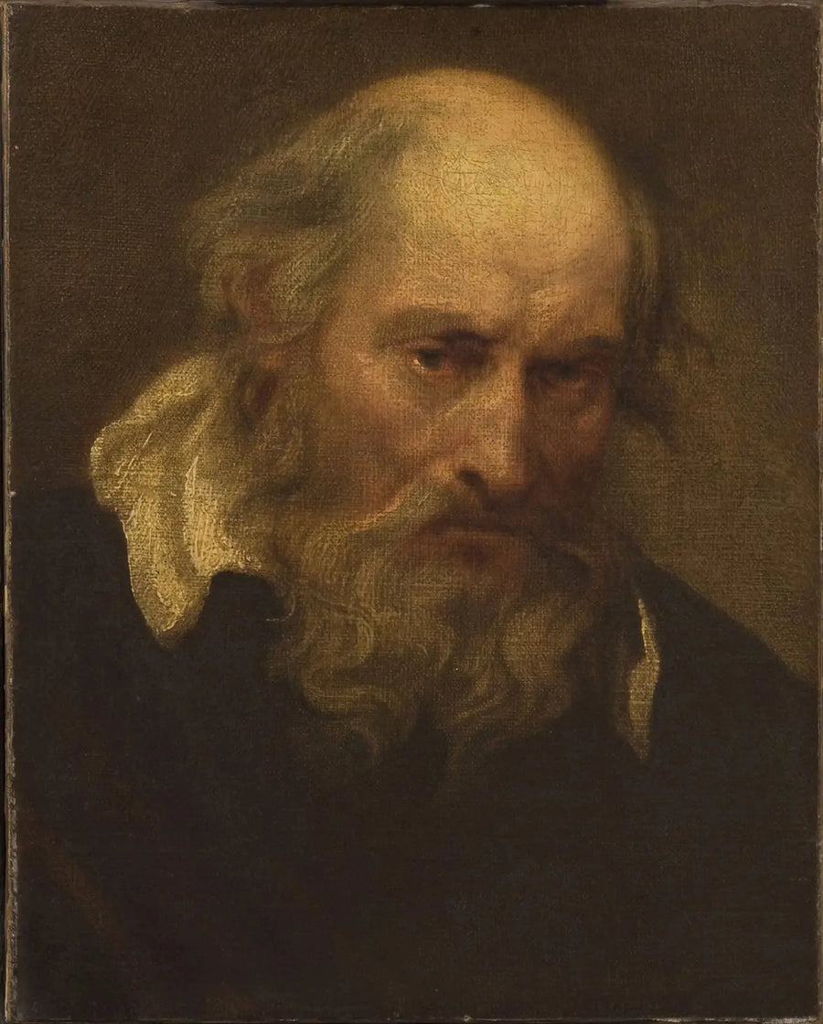 En gammal mans huvud - Antoine van Dyck