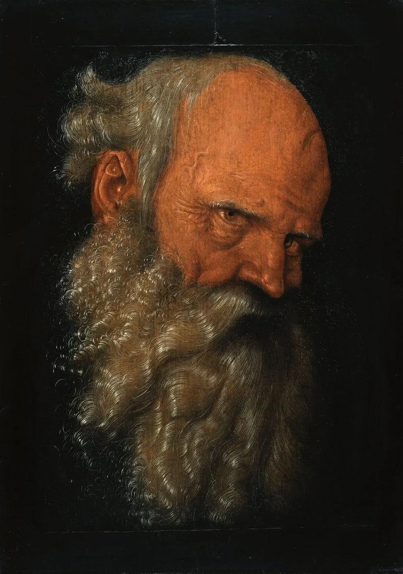 En gammal skäggig mans huvud - Hans Baldung Grien