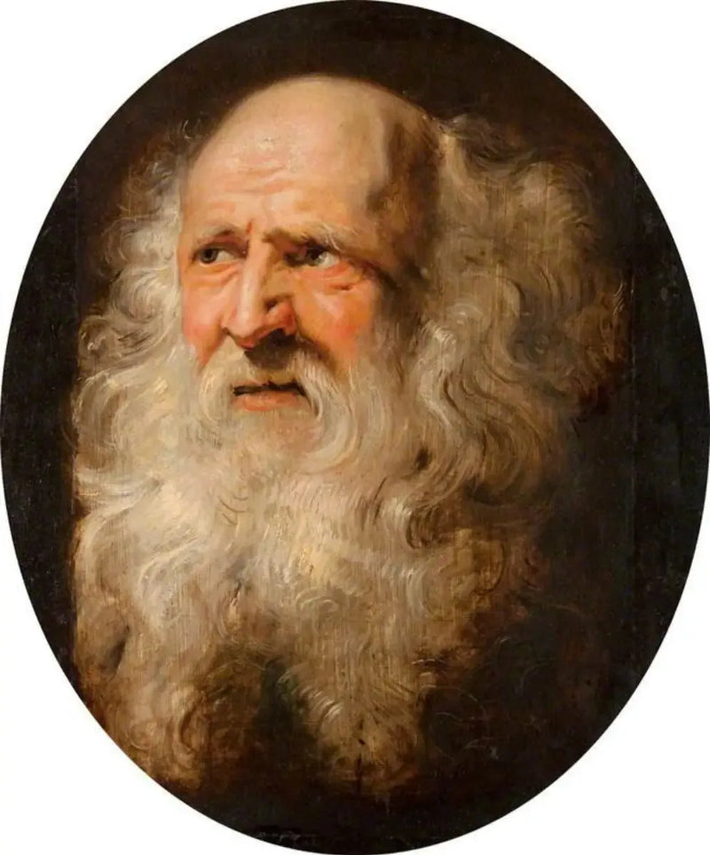 En gammal mans huvud - Peter Paul Rubens