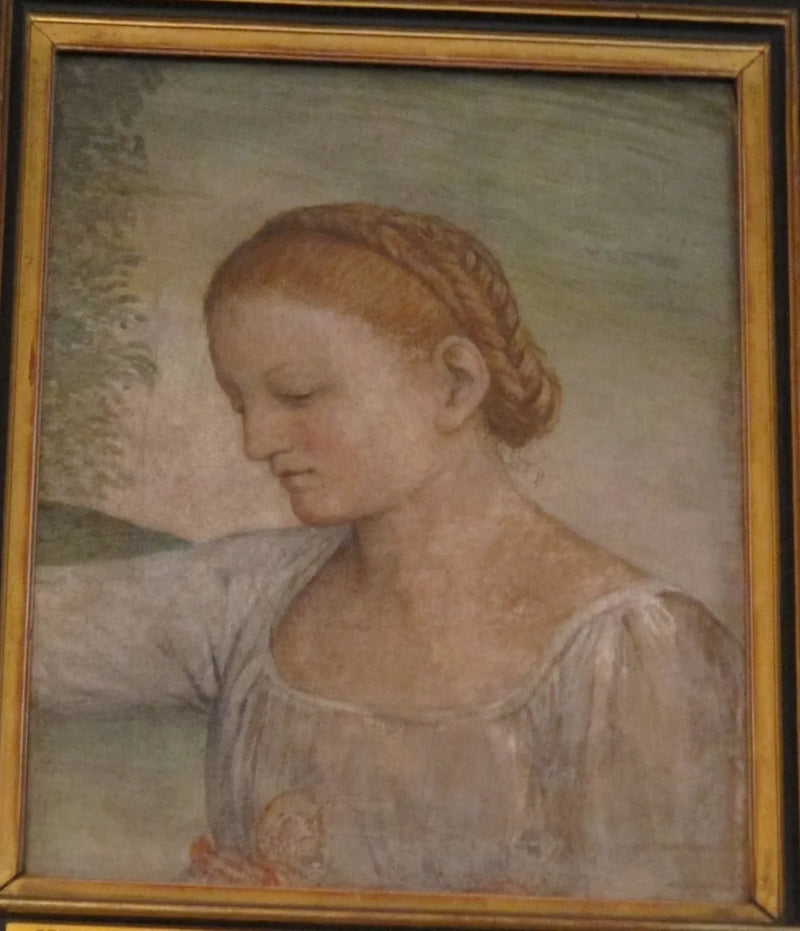 Flickans huvud - Bernardino Luini