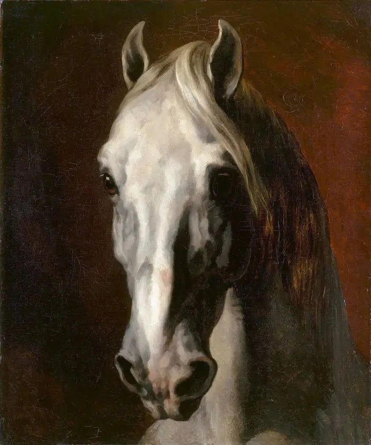 Vit hästhuvud - Théodore Géricault