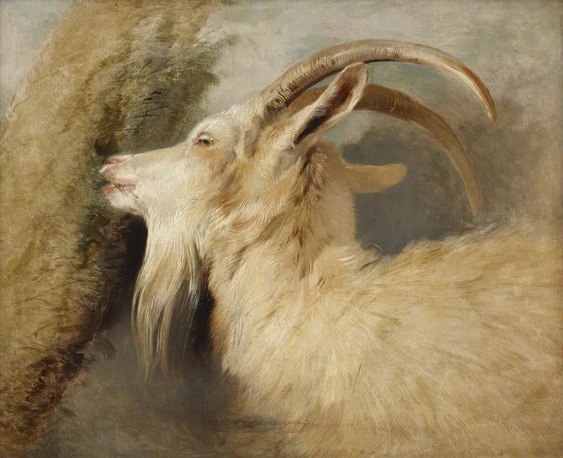 Getskalle - Edwin Henry Landseer