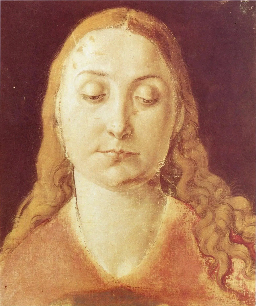 Kvinnohuvud - Albrecht Dürer