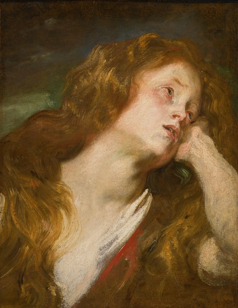 Ung kvinnas huvud - Antoine van Dyck