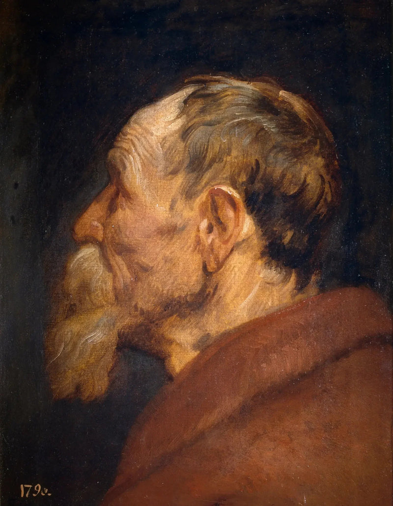 Gammal mans huvud - Antoine van Dyck