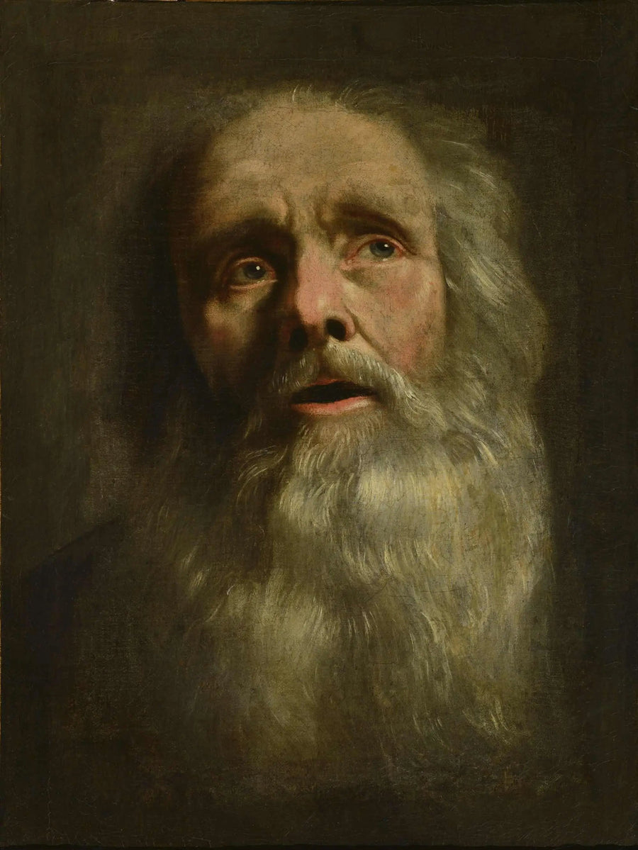 Äldre mans huvud - Philippe de Champaigne