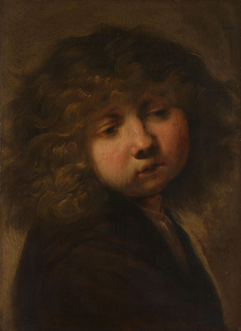 Pojkehuvud - Rembrandt