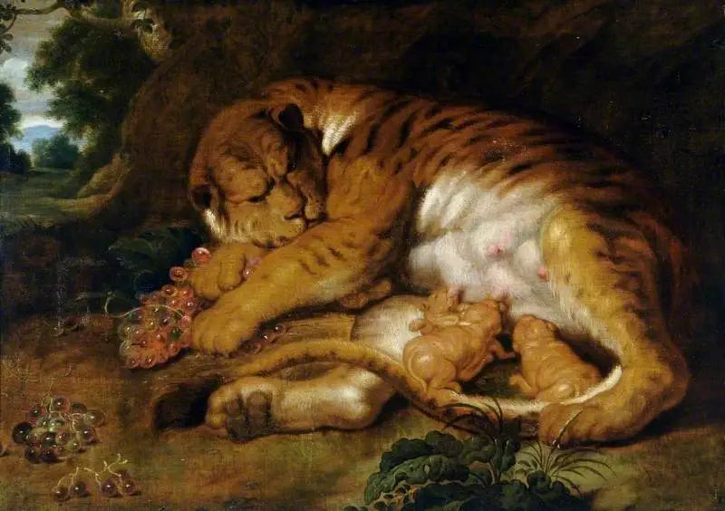 Tigerhona med sina ungar - Peter Paul Rubens