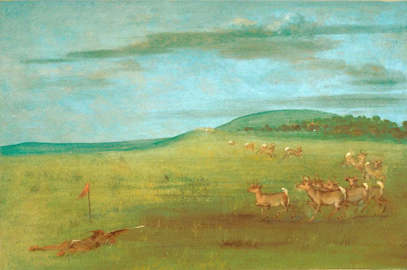 Skjuta på en lockad antilop - George Catlin