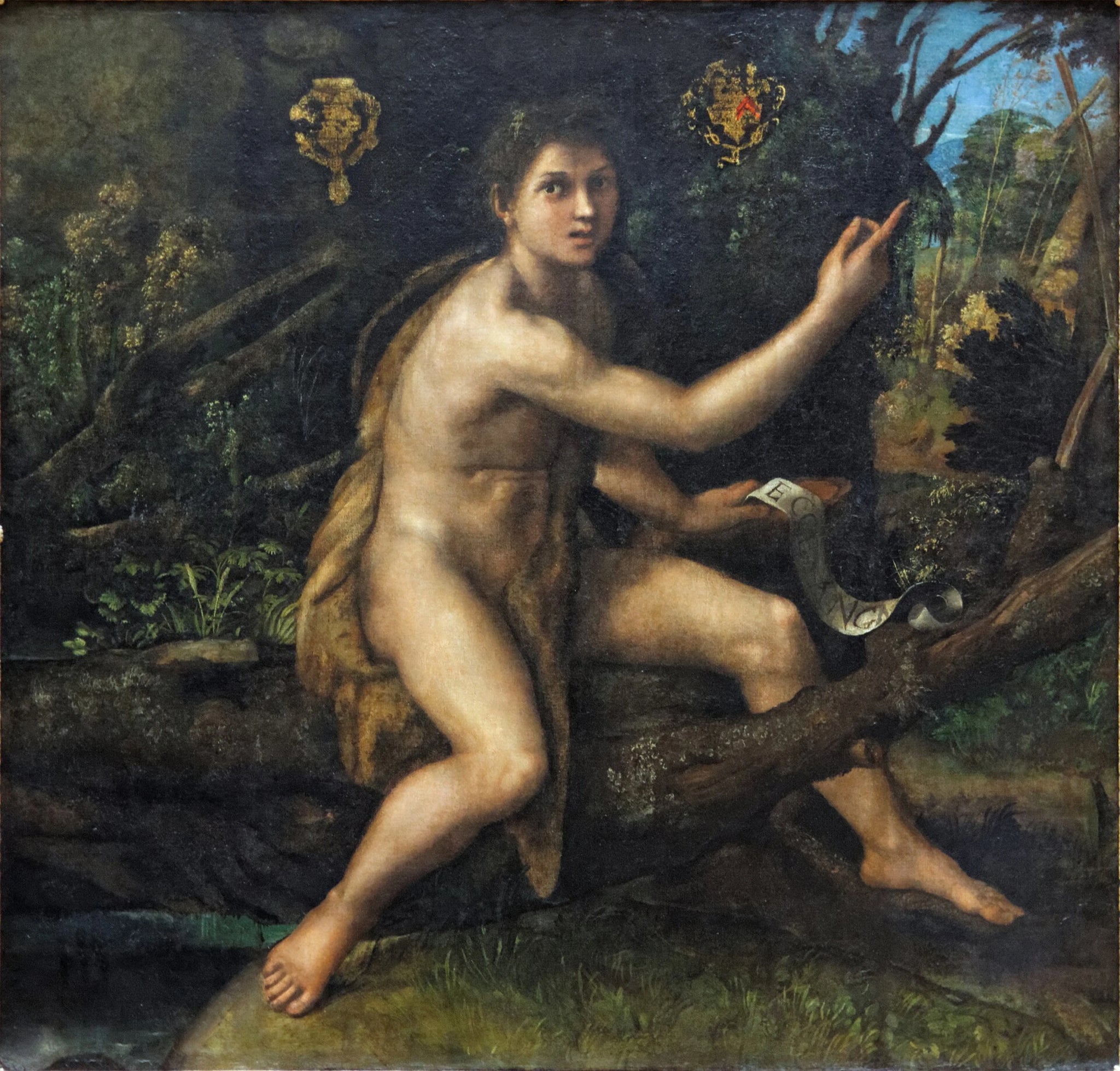 Saint Jean Baptiste dans le désert - Raphaël Sanzio - Réproduction huile sur toile