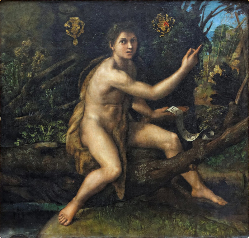 Sankt Johannes Döparen i öknen - Raphael Sanzio