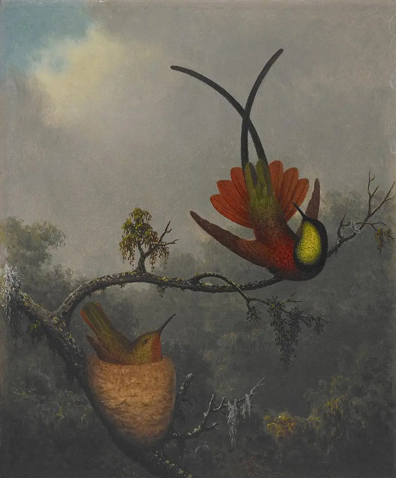 Karmosinröd Topas - Martin Johnson Heade