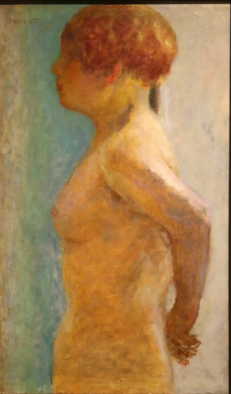 Kvinnotorso, i profil - Pierre Bonnard