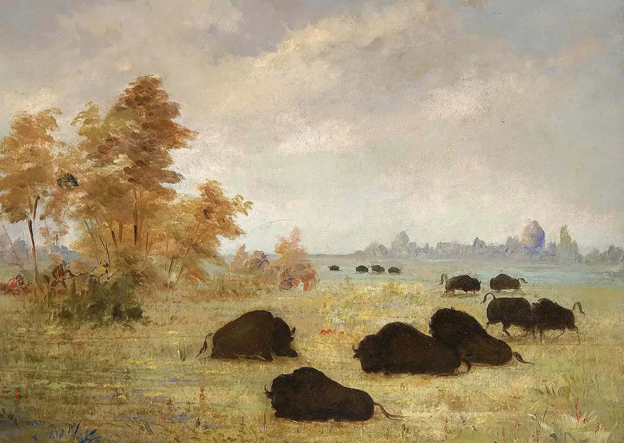 Bisonjakt, Arkansas - George Catlin