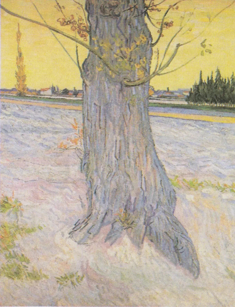 Stammen av en gammal en - Vincent van Gogh