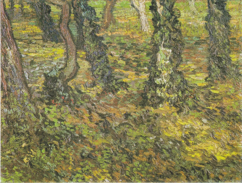 Trädstammar med murgröna - Vincent van Gogh