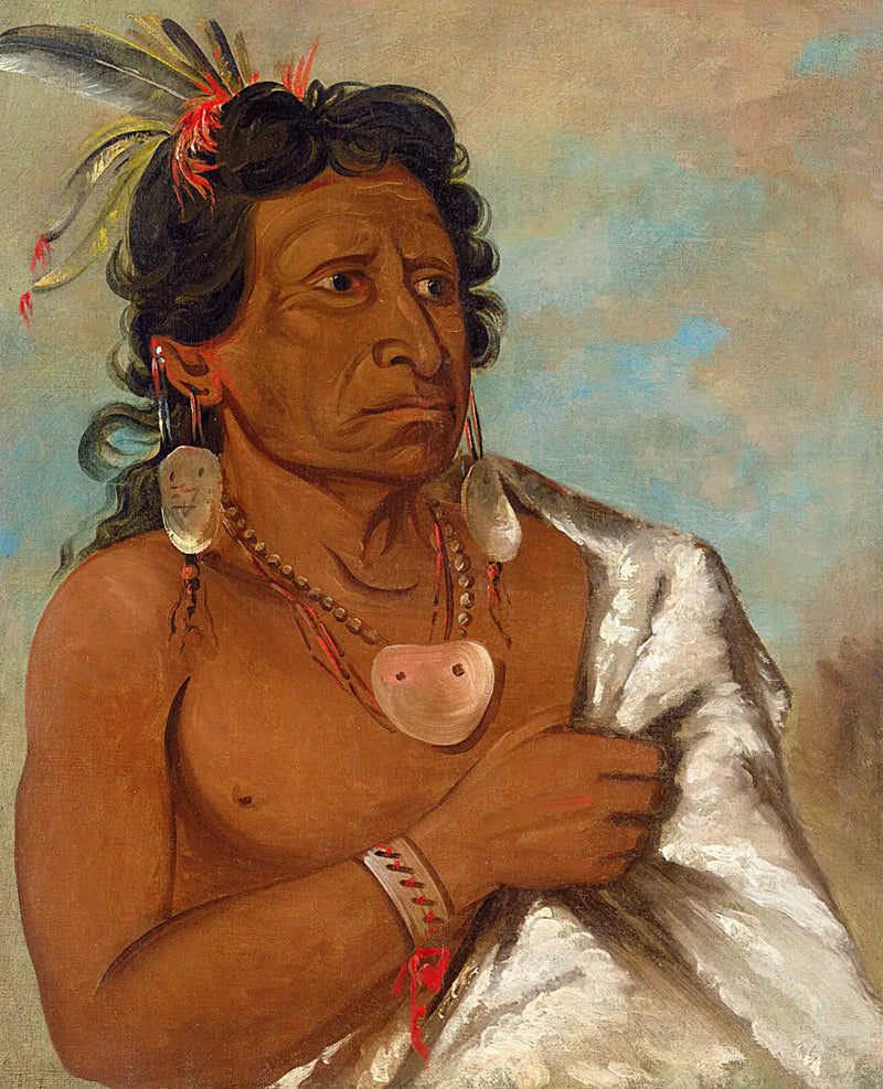 U'sh-ee-kitz, Den som slåss med en fjäder, stamledare - George Catlin