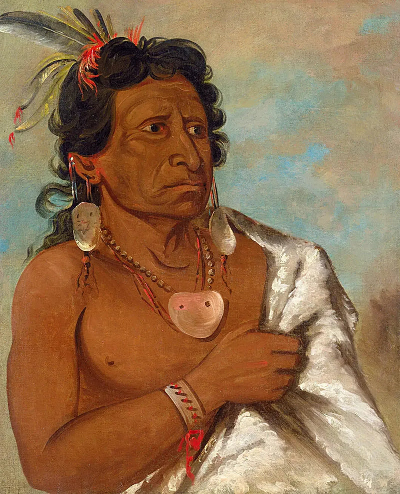 U'sh-ee-kitz, Den som slåss med en fjäder, stamledare - George Catlin