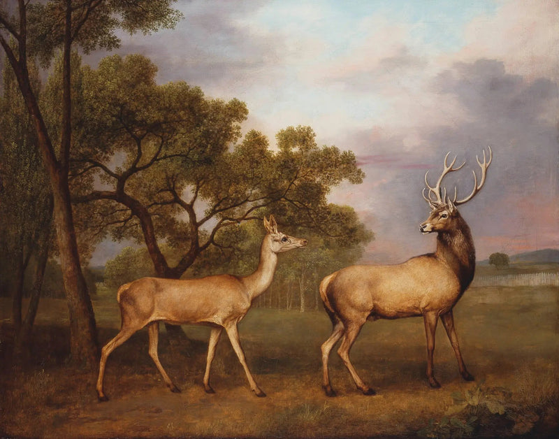 En hanhjort och en hind - George Stubbs