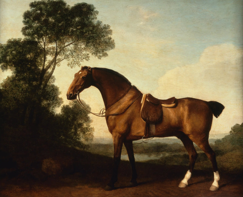 En säljägare - George Stubbs