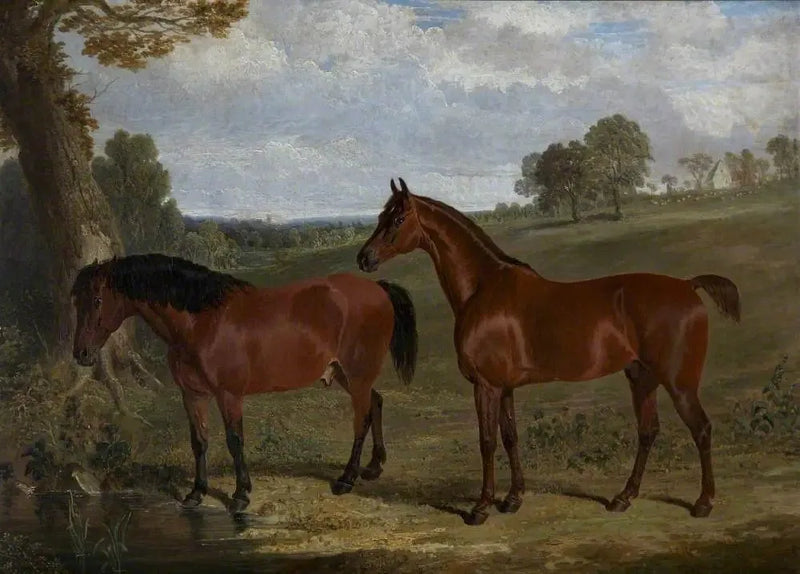 En brun häst och en ponny i ett landskap - John Frederick Herring, Sr.