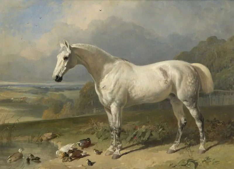 En grå häst och ankor i ett landskap - John Frederick Herring, Sr.