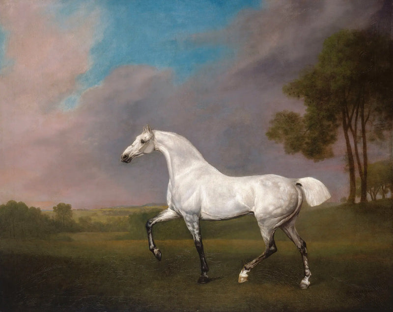 En grå häst - George Stubbs