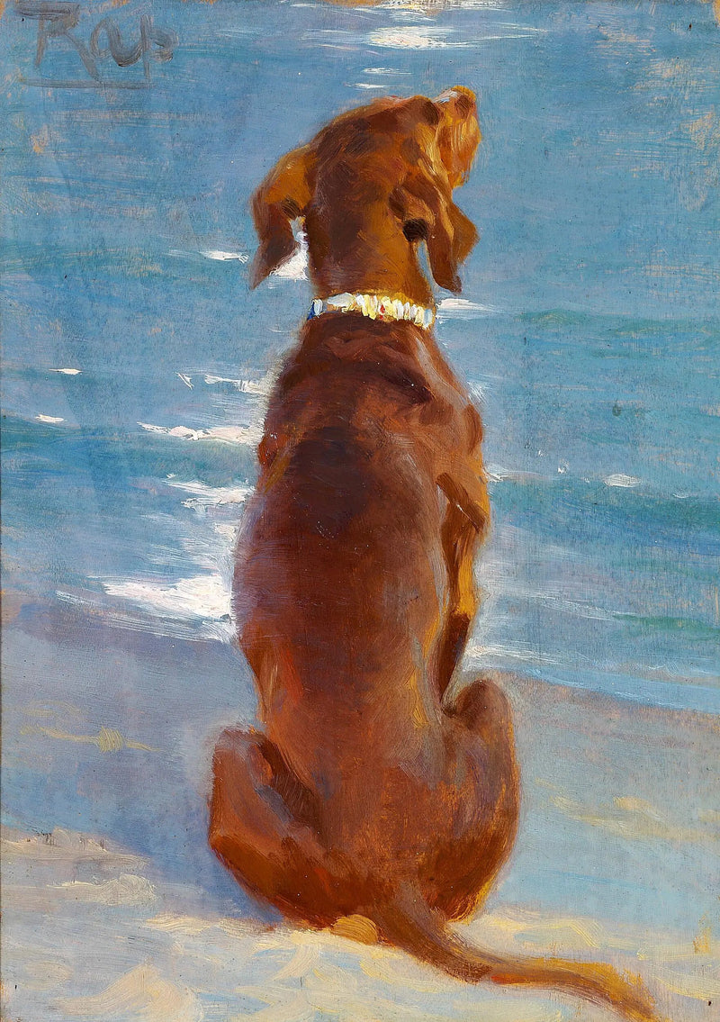 En brun hund som sitter. Rap. - Peder Severin Krøyer