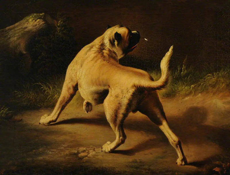 En alert hund - Edwin Henry Landseer