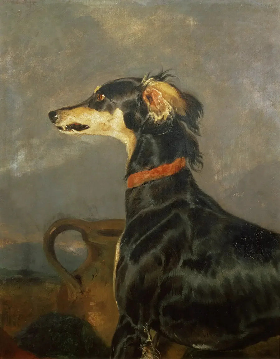 En Saluki-hund - Edwin Henry Landseer
