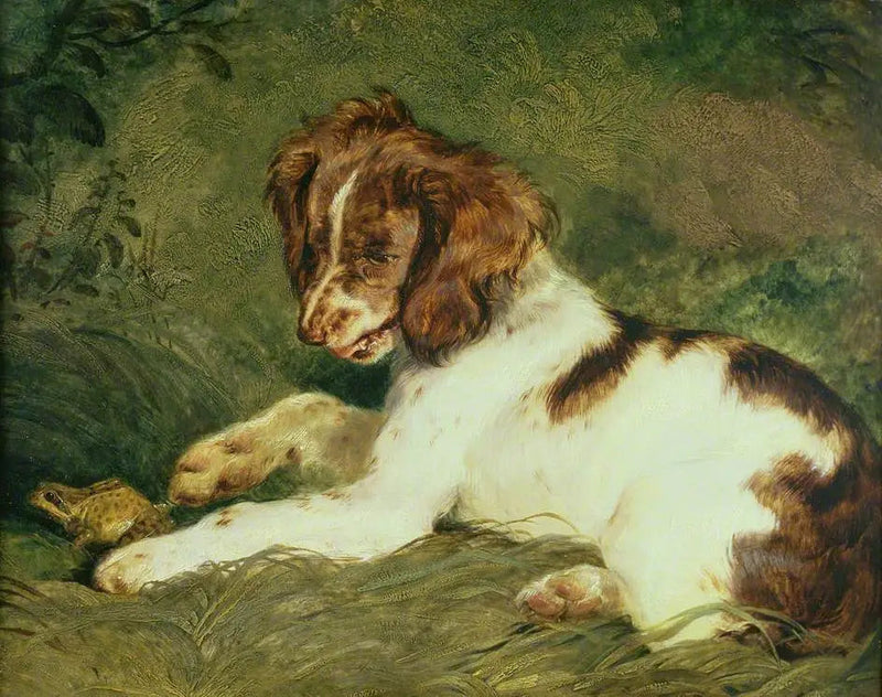 En valp retar en groda - Edwin Henry Landseer