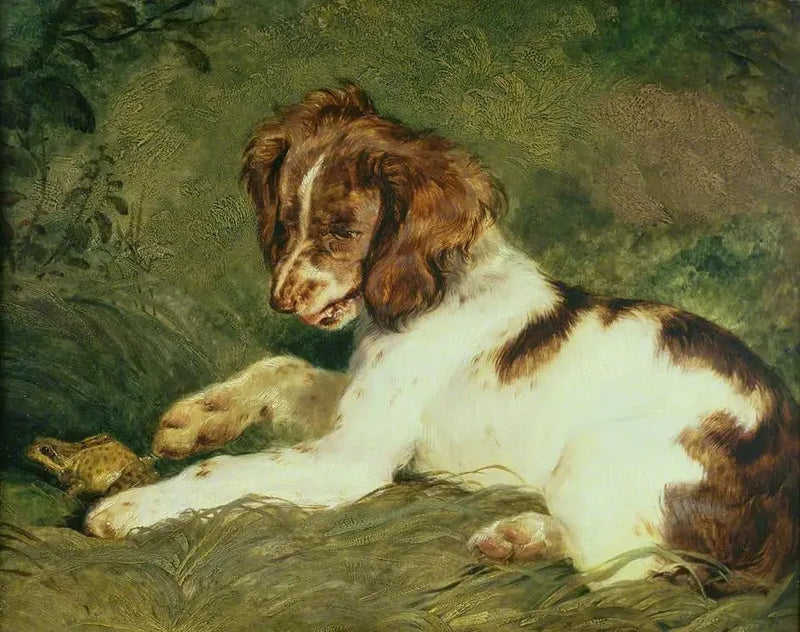 En valp retar en groda - Edwin Henry Landseer