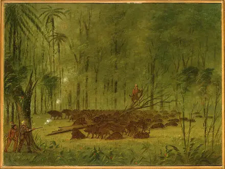 En kamp med peccaries - Karibien - George Catlin