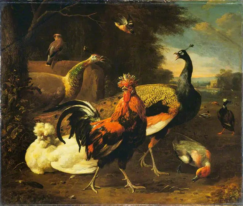 En tupp med andra fåglar - Melchior de Hondecoeter