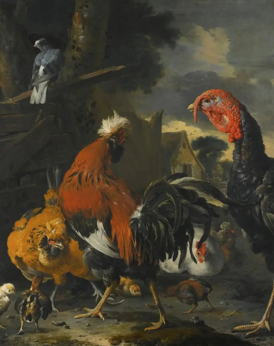 En tupp, en kalkon, hönor och kycklingar i en gård - Melchior de Hondecoeter