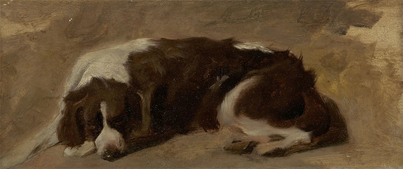 En liggande spaniel - Edwin Henry Landseer