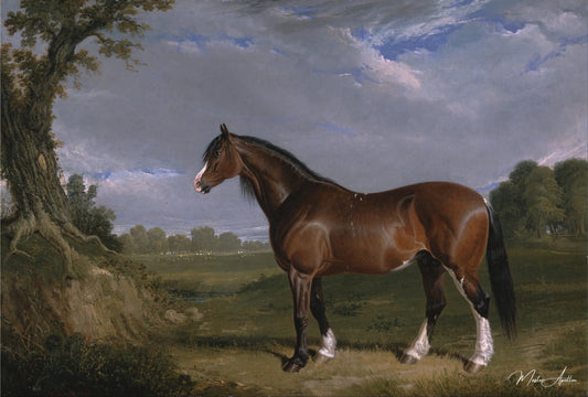 Un étalon Clydesdale - John Frederick Herring Snr - Reproductions de tableaux et peintures haut de gamme