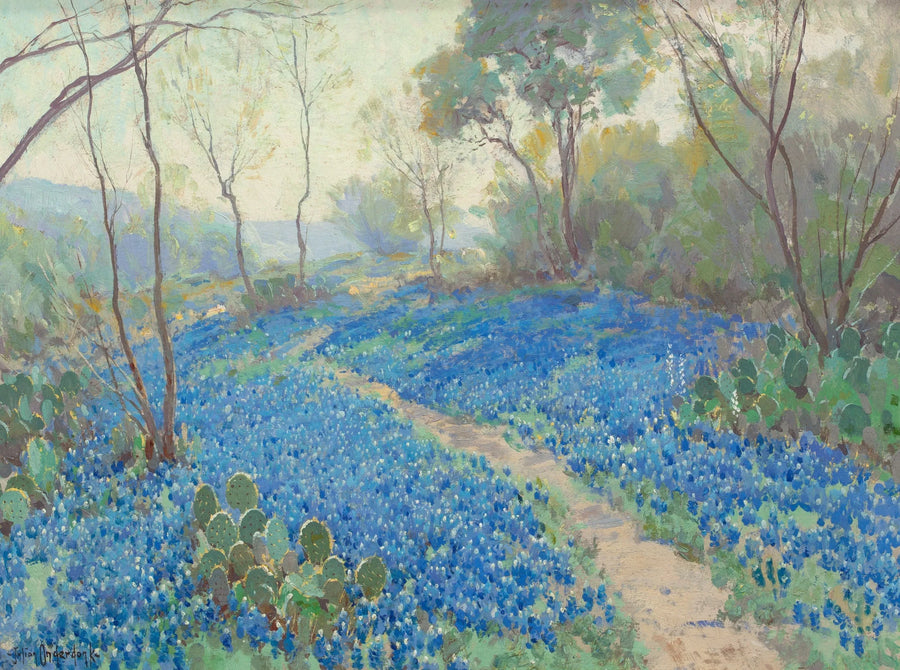 En sluttning av en kulle täckt av blå lupiner, tidigt på morgonen, nära San Antonio, Texas. - Julian Onderdonk