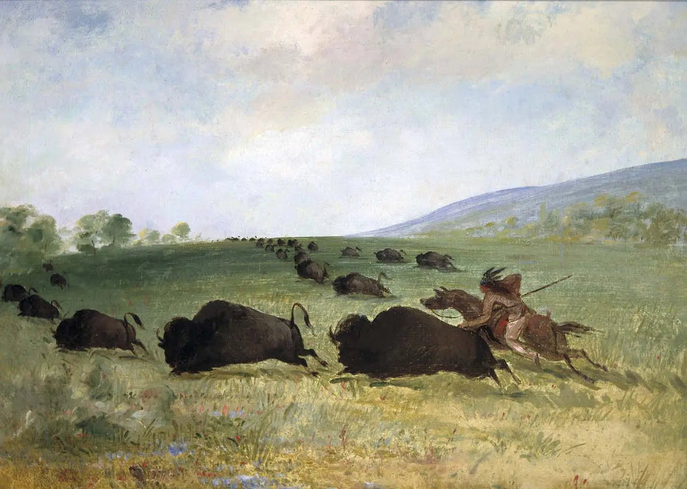 Un Indien Osage lance un buffle - George Catlin image 1 copie de tableau peinte à la main