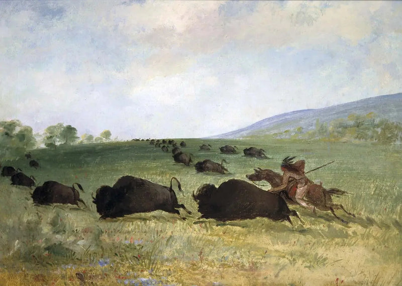 En Osage-indian kastar en buffel - George Catlin