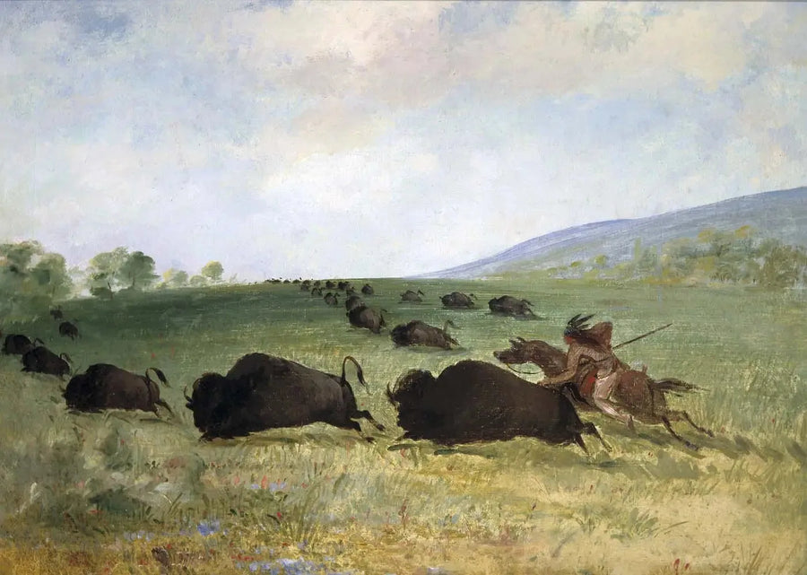 En Osage-indian kastar en buffel - George Catlin