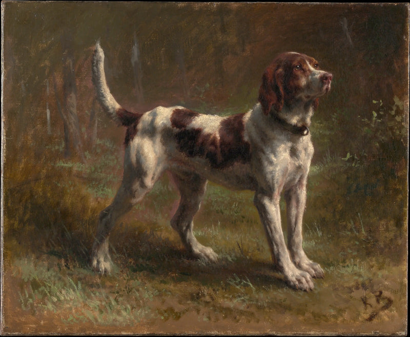 En Briquet-hund - Rosa Bonheur
