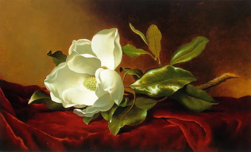 En magnolia på röd sammet - Martin Johnson Heade