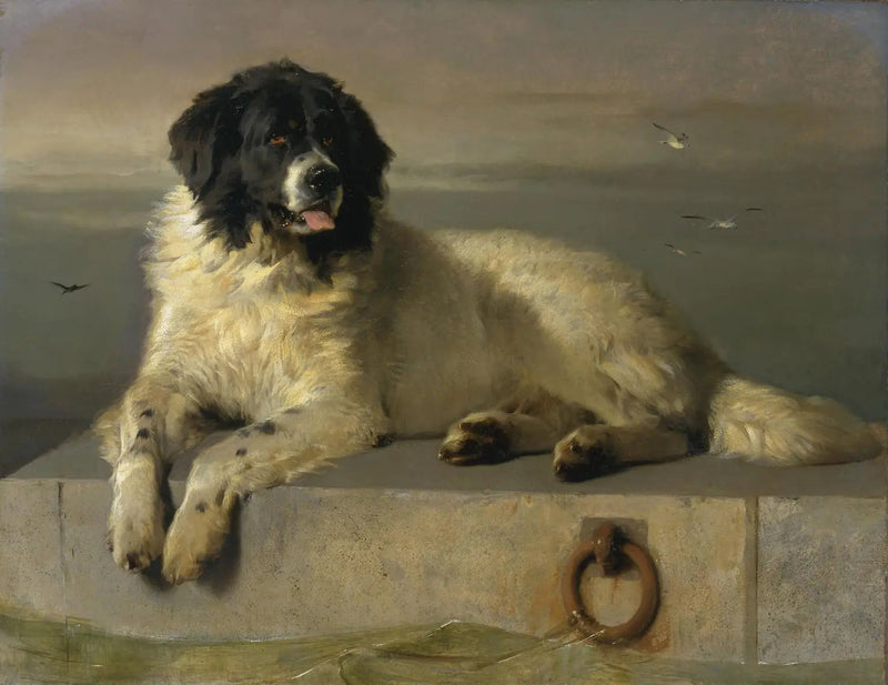 En framstående medlem av Humane Society - Edwin Henry Landseer