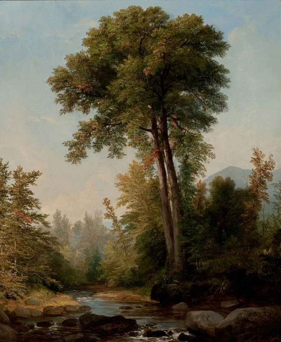 En naturlig monark - Asher Brown Durand