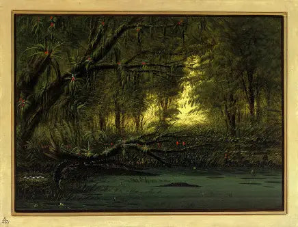 En alligatorbo - George Catlin