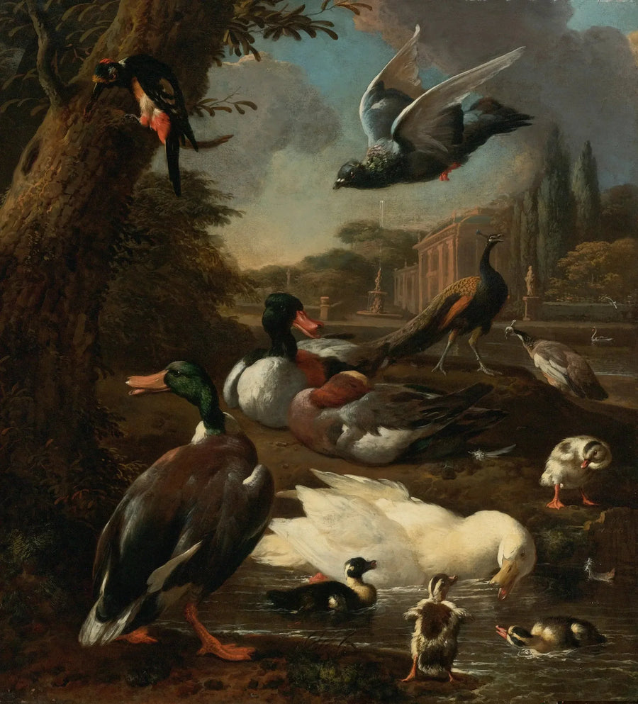 En påfågel, en duva, ankor och andra fåglar i en trädgård - Melchior de Hondecoeter