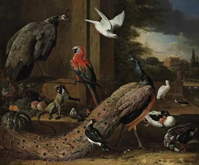 En påfågel, en påfågelhona, en apa och andra fåglar på en terrass - Melchior de Hondecoeter