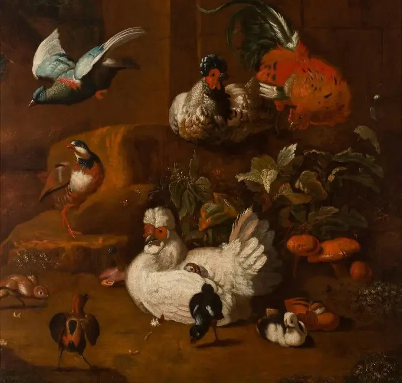 En samling av fåglar - Melchior de Hondecoeter