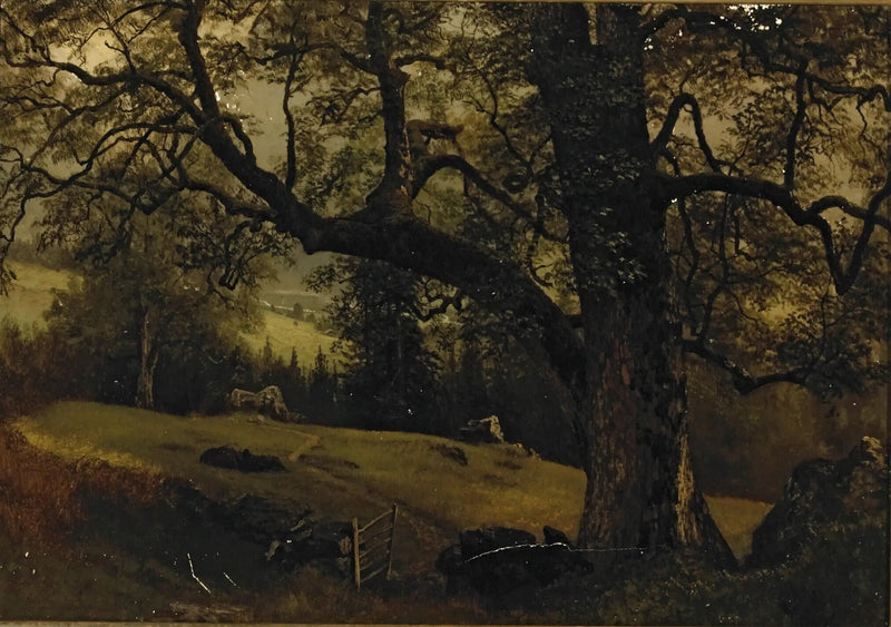 En stig genom träden - Albert Bierstadt